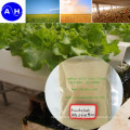 Animal Source Amino Acids con Chloridion Organic Fertilizer Amino Acids